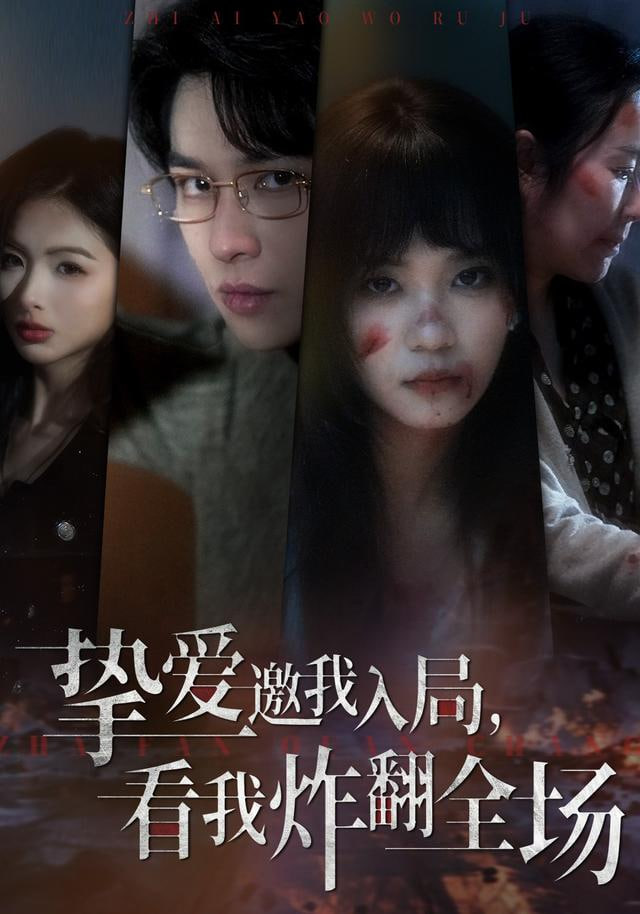 桥的那一边海报